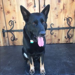 Meet your Posher, Bree